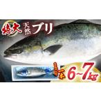 ふるさと納税 【先行予約】 産地直送！ 超特大！海陽町よりブリまるごと１本をお届け！ ぶり 鰤 海鮮 新鮮 魚 国産 ぶりしゃぶ 【2026年3月下旬.. 徳島県海陽町