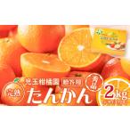 奄美 完熟 たんかん 2kg