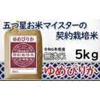 ショッピングふるさと納税 無洗米 ふるさと納税 【無洗米】令和5年産5つ星お米マイスターの契約栽培米 ゆめぴりか 5kg【39129】 北海道岩見沢市