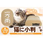 ねこグッズ 猫に小判