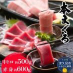 本マグロ 中トロ 赤身 セット