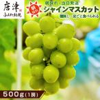 シャインマスカット500g 1房