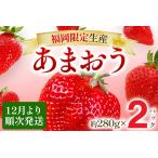 あまおうグランデサイズ以上 約560g