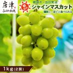 シャインマスカット1kg 2房