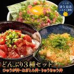丼3種セット ぶり まぐろ ねぎとろ 丼 FN-Limited-PR