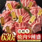 宮崎牛焼肉9種盛 約630g