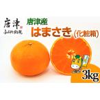 ふるさと納税 『先行予約』【令和8年1月下旬発送予定】唐津産 はまさき 3kg 化粧箱 みかん ミカン オレンジ フルーツ 果物 ギフト 佐賀県唐津市