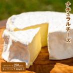 ナチュラルチーズ カマンベール250g以上