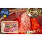 赤身 焼肉用 おおいた和牛 300g