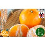 果物 くだものフルーツ みかん ミカン 柑橘