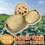 ふるさと納税 レンコン　約4kg｜茨城県 行方市 ふるさと納税 蓮根 レンコン(EG-1) 茨城県行方市