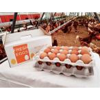 fu.... налог 279.. . яйцо (30 шт ) Ibaraki префектура Ibaraki блок 