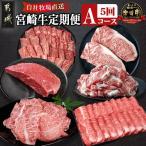 宮崎牛定期便 5回お届け Aコース 宮崎牛 食べ比べ