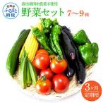 野菜セット 7‐9種類