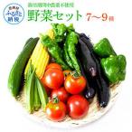 野菜セット 7~9種類 栽培期間中農薬不使用