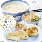 ふるさとセット 天領うどん 10人前