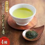 新茶 太陽と緑のこだわりのひむかの香 詰め合わせ