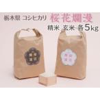 コシヒカリ 桜花爛漫 精米 玄米 各5kg