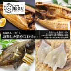 低温熟成 一夜干し お楽しみ 詰め合わせ AA027