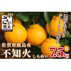 鹿島産 不知火 しらぬい 柑橘 約7.5kg