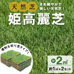 姫高麗芝 2平米 約1平米×2セット 芝 芝生