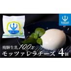 飛騨生乳100% モッツァレラチーズ 4個