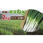 ふるさと納税 《先行予約》飛騨の根深ねぎ 2kg 訳あり ねぎ ネギ 水村農園 岐阜県飛騨市
