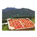 ふるさと納税 【先行予約R7年 7月以降順次発送】大空夏いちご農園 希少な夏いちご『サマープリンセス』1箱(2パック入り)【お届け希望日を.. 長野県南相木村