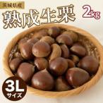 吉原農場の完熟栗 熟成 生栗 2kg