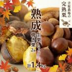 熟成 生栗 1kg Lサイズ 焼き栗 2袋 セット