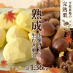熟成 生栗 1kg Lサイズ 生むき栗 3袋 セット