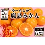 4.5以上 やーらしか鹿島産みかん 6.5kg