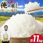 米 令和8年 コシヒカリ 精米 11kg