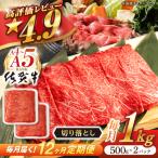 牛肉切り落とし 佐賀牛 総計12.0kg