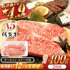 牛肉ステーキ 佐賀牛 A5 総計4.8kg