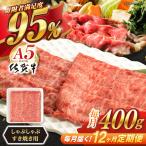 牛肉 焼肉 佐賀牛 A5 総計4.8kg NAB031