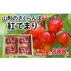 ショッピングさくらんぼ ふるさと納税 山形のさくらんぼ 紅てまり 約800g Lサイズ以上(200g×4) 【令和6年産先行予約】FU22-058 山形県山形市