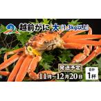 越前がに 大 1.3kg以上