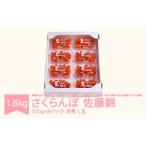 ふるさと納税 さくらんぼ 佐藤錦 赤秀品 L玉 200g×8パック 2025年産 令和7年産 山形県産 mm-snplx1600 ※沖縄・離島への配送不可 山形県村山市