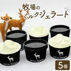 ジェラテリアノンナ 手作りジェラート 5個入り