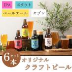クラフトビール 4種6本セット 330ml×6本
