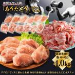 組み合わせ4kg 佐賀ブランド ありたどり