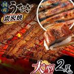 特大うなぎ 2尾
