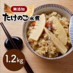 無添加高品質 タケノコ 1.2kg