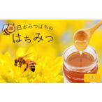 日本蜜蜂のはちみつ 希少品 320g