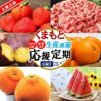 支援企画 くまもと生産農家応援 定期便 コロナ影響