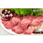 肥後の赤牛 焼肉用 500g