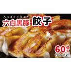 和水 黒いダイヤモンド 六白黒豚 餃子 60個