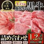 D0-089 A5等級 鹿児島黒牛詰め合わせ