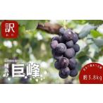 ショッピングふるさと納税 先行予約 ふるさと納税 【2026年発送 先行予約】 訳あり 種あり巨峰 約3.8kg（9~13房） 巨峰 長野県生坂村
